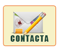 contacta